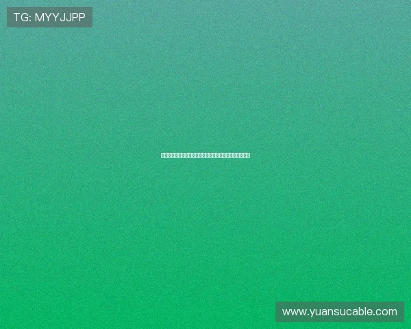 雷速足球：探索即时比分与赛事分析的全新体验与发展趋势